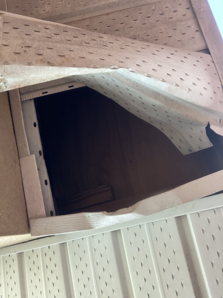 soffit damage from raccoon