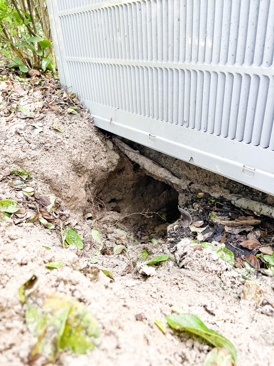 armadillo hole under AC unit