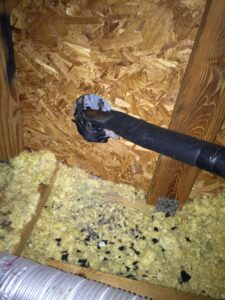 rat droppings in attic near ac chase